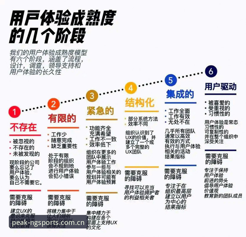 资深用户深度剖析：NG体育客户端如何重塑竞技体验的底层逻辑